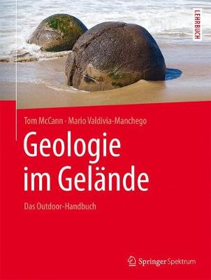 Book cover for Geologie im Gelände