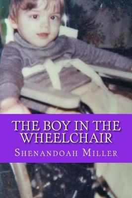 Book cover for The Boy in the Wheelchair
