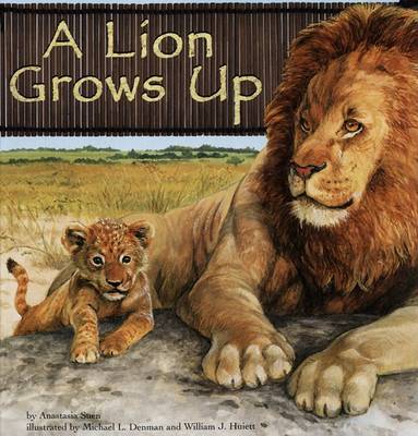 Book cover for A Lion Grows Up