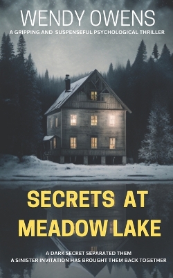 Book cover for Secrets At Meadow Lake