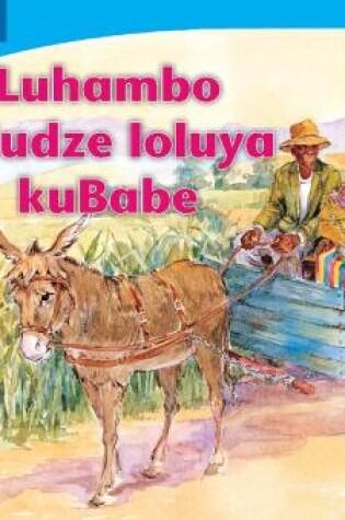 Cover of Luhambo loludze loluya kuBabe (Siswati)