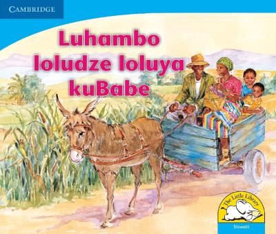 Book cover for Luhambo loludze loluya kuBabe (Siswati)