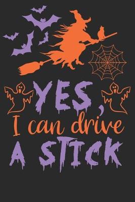 Book cover for Yes I Can Drive A Stick