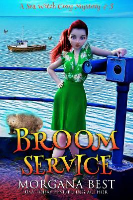 Book cover for Broom Service
