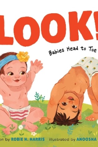 Cover of Look!: Babies Head to Toe