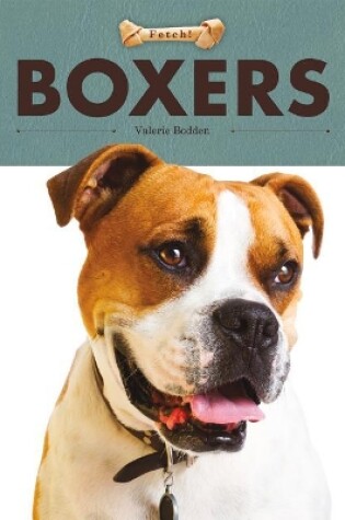 Cover of Boxers