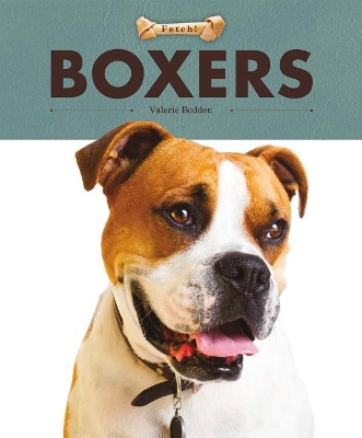 Book cover for Boxers