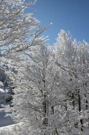 Cover of Snow Covered Trees at the Edge of a Clearing