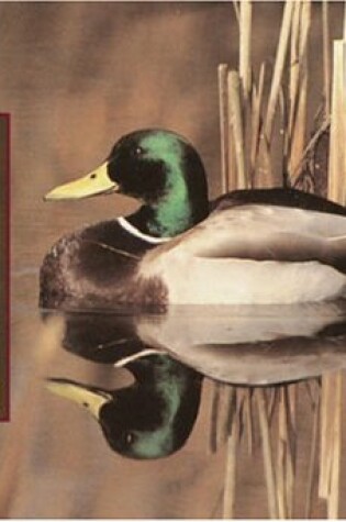 Cover of North American Waterfowl