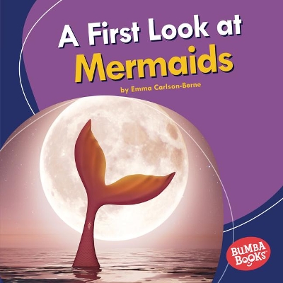 Book cover for A First Look at Mermaids