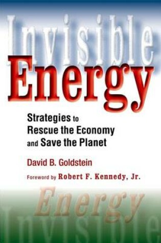 Cover of Invisible Energy