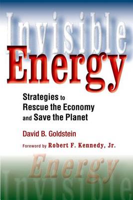 Book cover for Invisible Energy