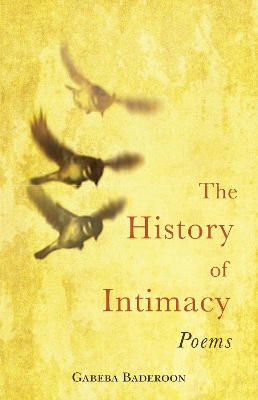 Book cover for The history of intimacy