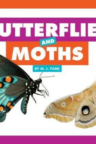 Cover of Butterflies and Moths