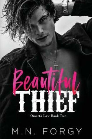 Cover of Beautiful Thief