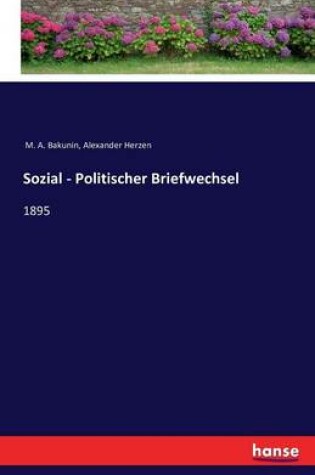 Cover of Sozial - Politischer Briefwechsel