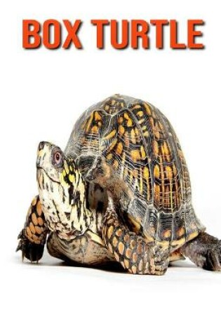 Cover of Box Turtle