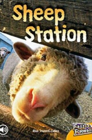 Cover of Sheep Station