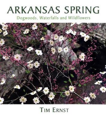 Book cover for Arkansas Spring