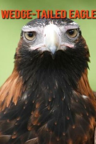 Cover of Wedge-Tailed Eagle