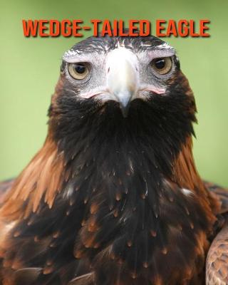 Book cover for Wedge-Tailed Eagle