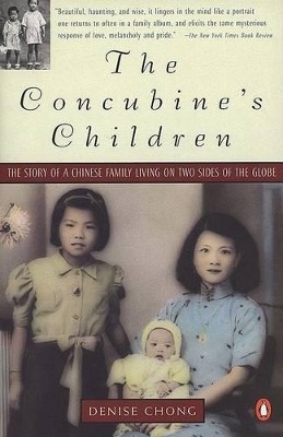 Book cover for Concubine's Children: the Story of a Chinese Family Living on Two Sides of the Globe