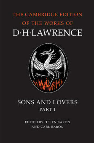 Cover of The Complete Novels of D. H. Lawrence 11 Volume Paperback Set