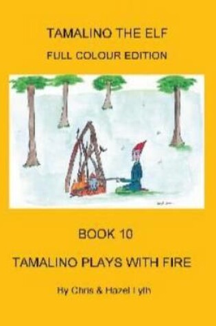 Cover of Tamalino Plays with Fire