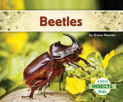 Cover of Beetles