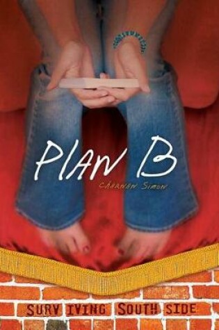 Cover of Plan B