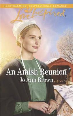 Cover of An Amish Reunion