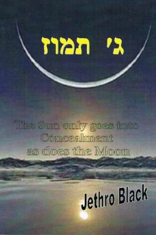 Cover of Gimmel Tammuz