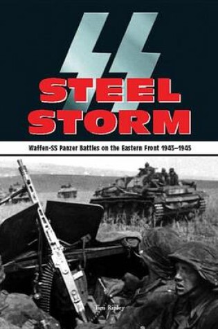 Cover of Steel Storm