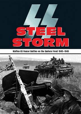 Book cover for Steel Storm