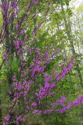 Book cover for 2019 Daily Planner Early Spring Lilac Branches 384 Pages