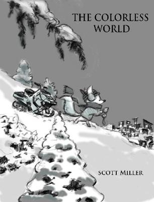 Book cover for The Colorless World