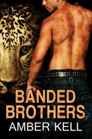 Cover of Banded Brothers 1-5