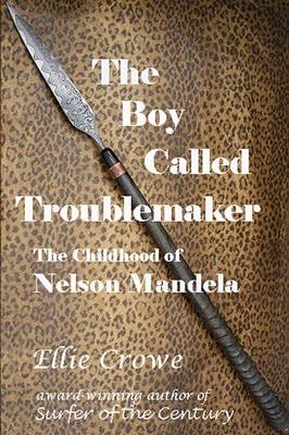 Book cover for The Boy Called Troublemaker