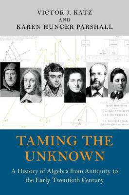 Book cover for Taming the Unknown