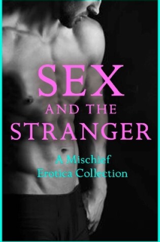 Cover of Sex and the Stranger 2