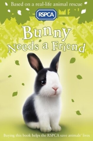 Cover of Bunny Needs a Friend