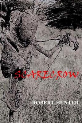 Book cover for Scarecrow