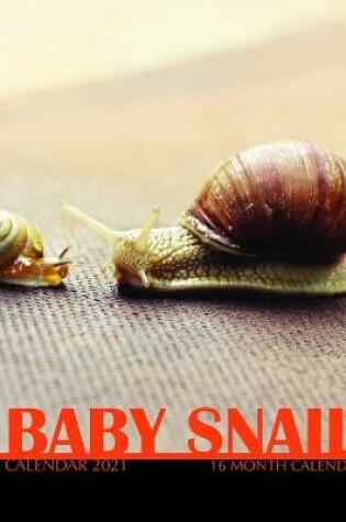 Cover of Baby Snail Calendar 2021