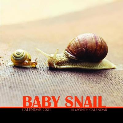 Book cover for Baby Snail Calendar 2021