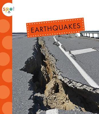 Book cover for Earthquakes