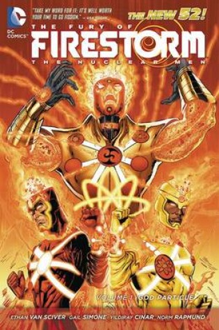 Cover of The Fury Of Firestorm