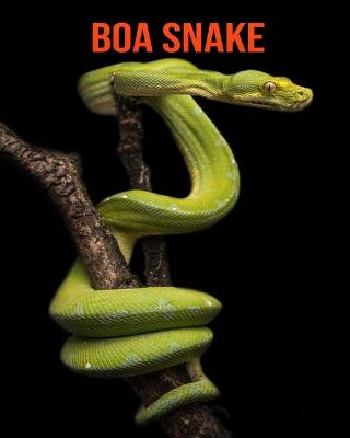 Book cover for Boa Snake