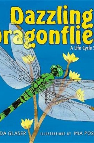 Cover of Dazzling Dragonflies: A Life Cycle Story