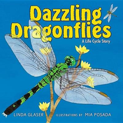 Book cover for Dazzling Dragonflies: A Life Cycle Story