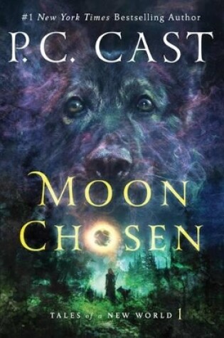 Cover of Moon Chosen